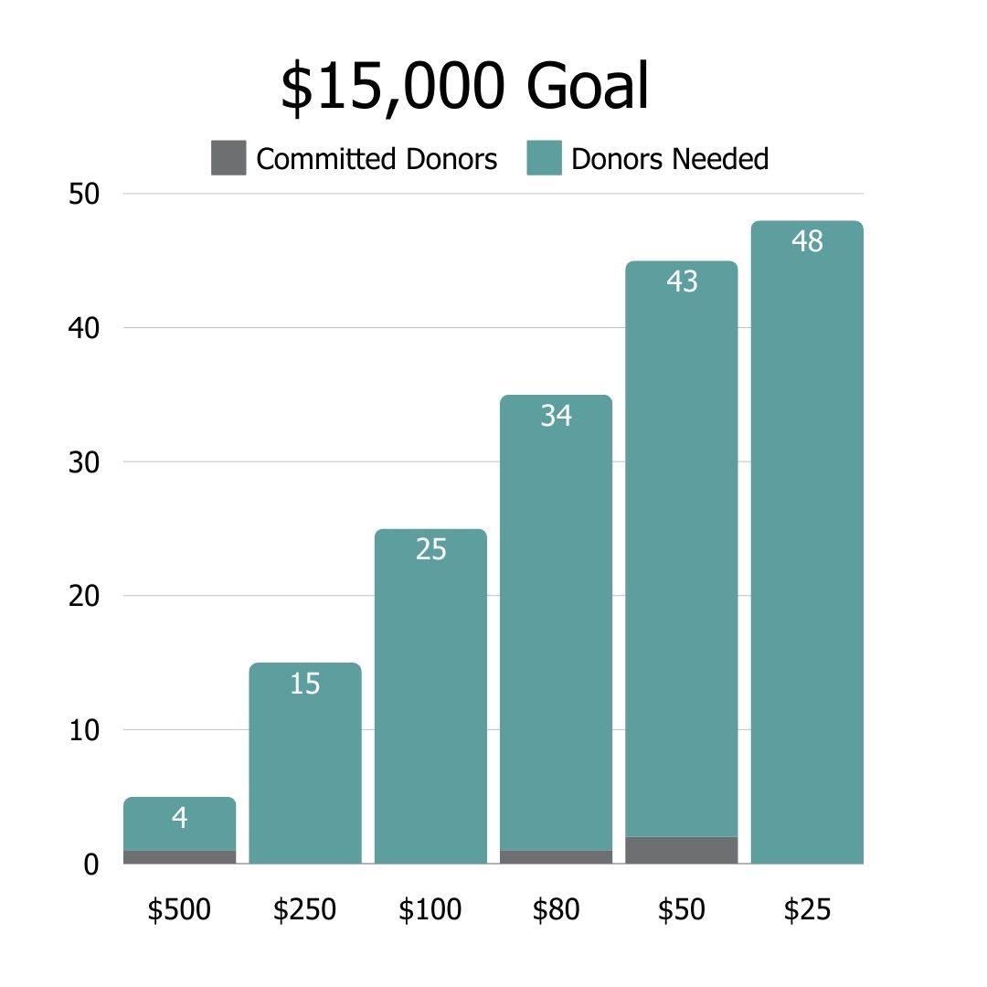 Curasmiles Donation Tracker Results