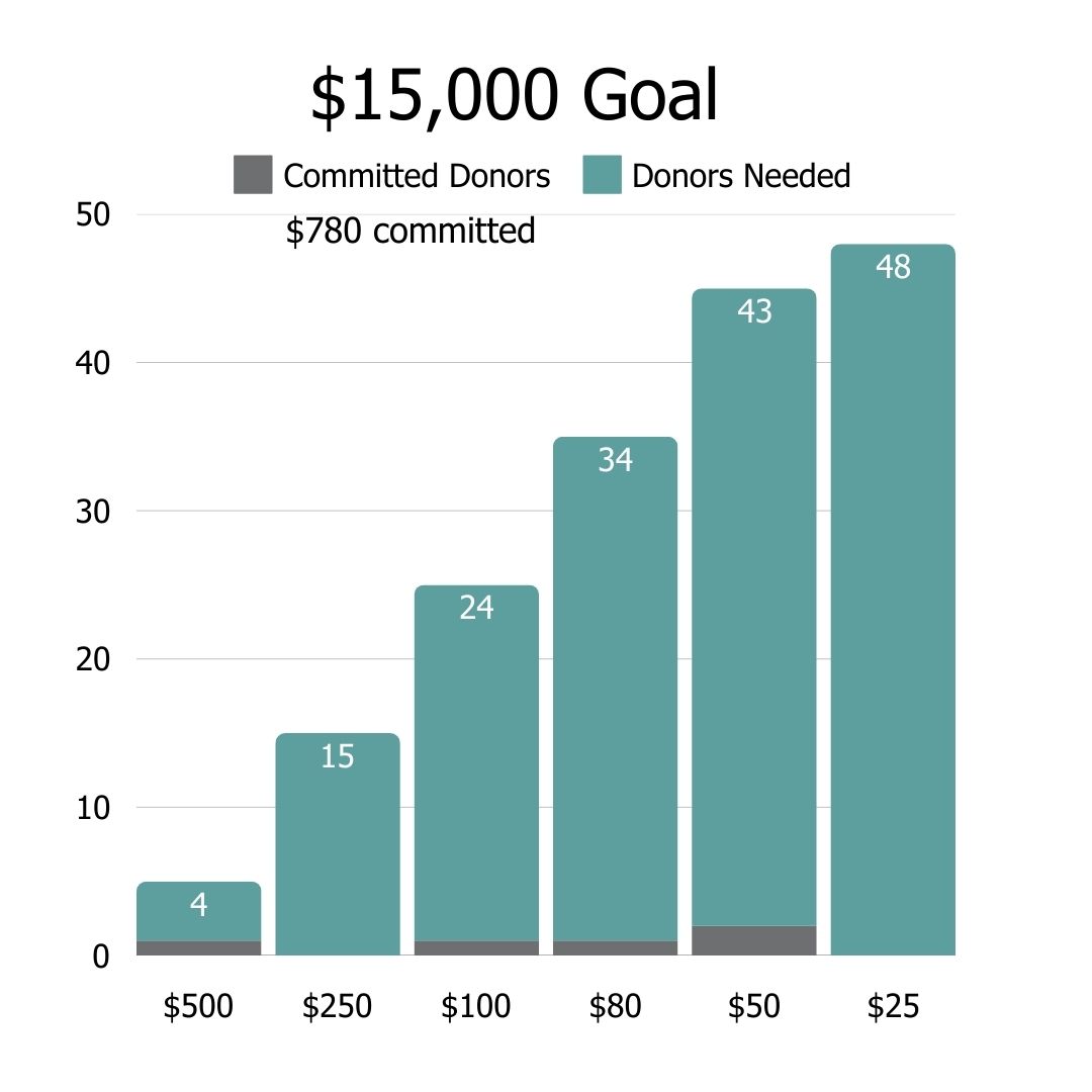 Curasmiles Donation Tracker Results